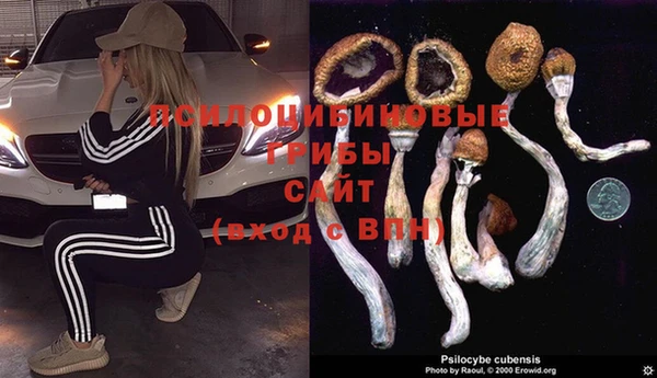ECSTASY Алексин