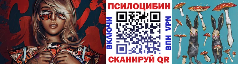 Галлюциногенные грибы MAGIC MUSHROOMS  наркотики  Камешково 