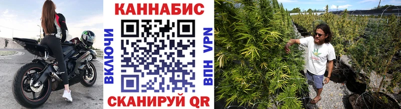Каннабис план  ОМГ ОМГ маркетплейс  Камешково 